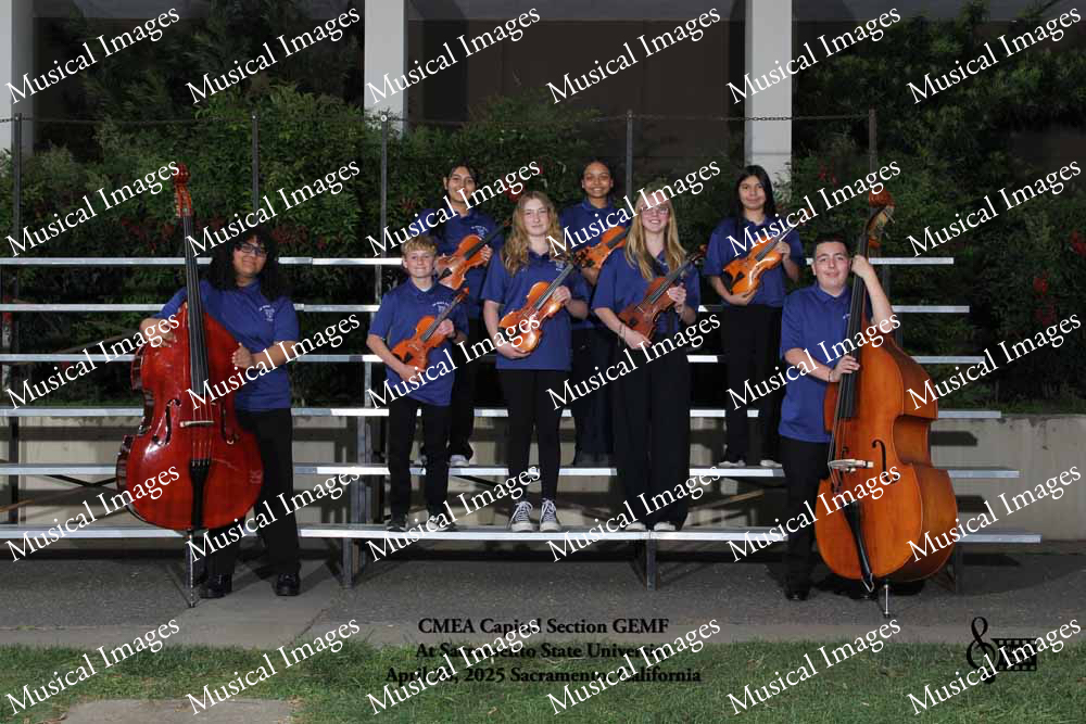 Musical Images
